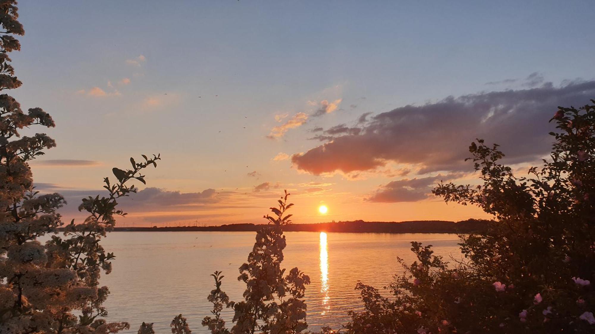Seensucht & Urlaubstraeume, Ferienwohnung "Strand-Romantik" Зенфтенберг Екстер'єр фото